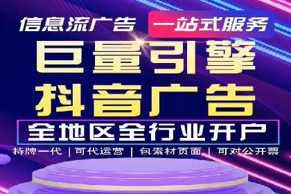 竞价广告的投放策略与效果评估——以一成功企业为例